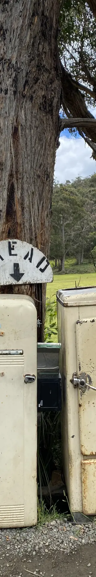 Frischgebackenes Brot